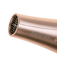 W2300 - جوي مجفف الاحترافي ذهبي