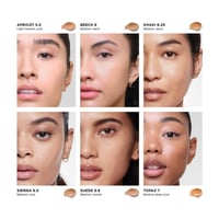 اورجلاس كونسيلر فانيش اير براش - بيسك حجم ميني