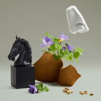 بنهالغونز عطر فورتشويتوس فينلي 75 مل