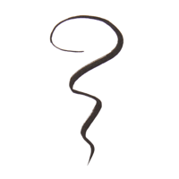 ريفوليوشن كحل عيون رينيسانس المقاوم للماء - اسود