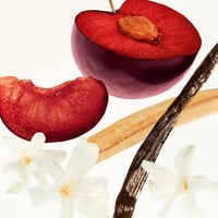 سول دي جانيرو مجموعة بوم ديا برايت بارتي قطعتين