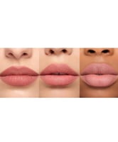 انستازيا بيفرلي هيلز قلم تحديد الشفاه - روز وود 1....