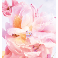 ديور عطر ميس ديور بلومينج بوكيت - 100 مل