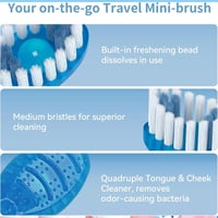 بيوتي سيستم فرشاة ومعجون مع خيط تنظيف الاسنان 10