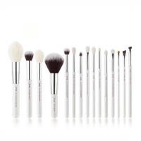 فرش جيسوب طقم فرش العين والوجه 15 فرشاة T242