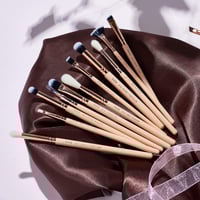 فرش جيسوب طقم فرش العيون 15 فرشاة T447