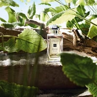 جو مالون عطر كولونيا مريمية الخشب وملح البحر 9 مل...