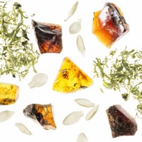 تاتشلاند بخلخ عطر الجسم والشعر المرطب - جولدن امبر...