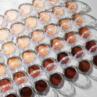 كيه في دي كريم ساس جود آبل ميديوم 042