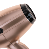 W2300 - جوي مجفف الاحترافي ذهبي