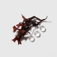 كيراستاس كرونولوجيست زيت الشعر ويل دو بارفان - 100...