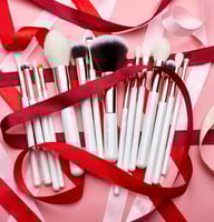 فرش جيسوب طقم فرش الوجه والعين 15 فرشاة T222