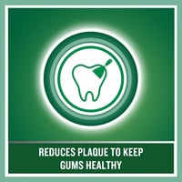 ليسترين غسول الفم حماية الأسنان واللثة - 500 مل