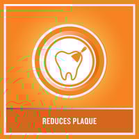 ليسترين غسول الفم مسواك - 250 مل