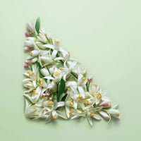 برادا مجموعة عطور برادا بارادوكس او دي بارفان للنس...