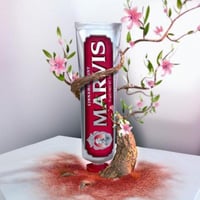 مارفيس معجون الاسنان بالنعناع و القرفة - 25 مل حجم...