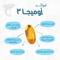 هوليستا اوميغا 3 مكمل غذائي 1425 ملجم زيت سمك - 80...