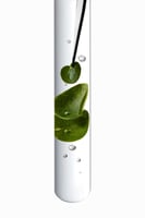 كيراستاس قناع كروما أبسولو غني ومضاد للمسامية، 200...