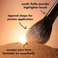 ايلف فرشاة تحديد النقاط العالية