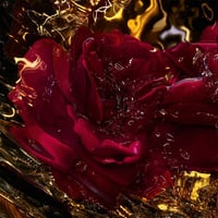 جيرلان عطر الشعر جيرلان ابسلوس اليجوريا روز اميرا...