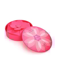 قصه مجموعة نيو بلوم 3 قطع