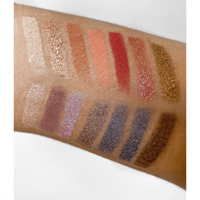 انستازيا بيفرلي هيلز باليت ظلال عيون كارلي بايبل