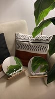 مرايا دائره
