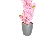 شجر ديكور للمنازل ارتفاع 146 سم