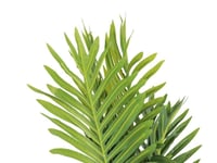 شجر ديكور للمنازل ارتفاع 153 سم