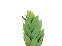 شجر ديكور للمنازل ارتفاع 175 سم