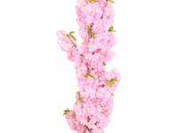 شجر ديكور للمنازل ارتفاع 146 سم