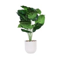 شجر صناعي ورق قلب اخضر