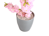 شجر ديكور للمنازل ارتفاع 146 سم