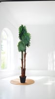 شجر ديكور للمنازل ارتفاع 195 سم