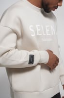 بلوفر بايزك رمادي