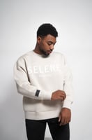 بلوفر بايزك رمادي