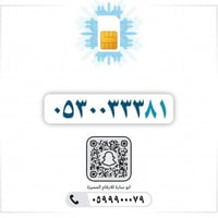 0530033381