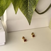 حلق فان كليف عنابي مني