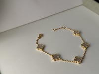 اسوارة فان كليف أبيض مني