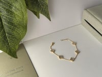 اسوارة فان كليف أبيض مني