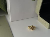 خاتم فان كليف عنابي وجهين