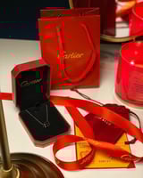 سلسال كارتير فضي