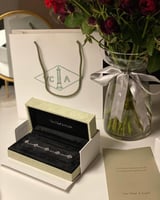 اسوارة فان كليف فضي مني