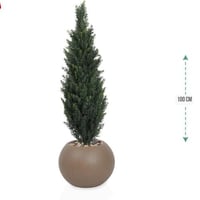 شجرشتلة حوض بلاستيك