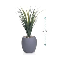 شجر صبار حوض فيبر بيضاوي ارتفاع 80 سم : 8110-542