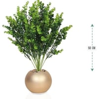 شجرشتلة حوض بلاستيك