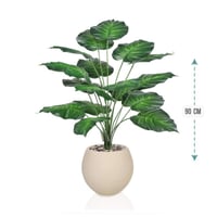 شتلة ورق قلب اخضر حوض فيبر 90 سم : 78915-516