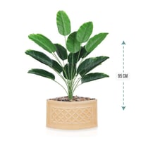 شتلة ورق موز 18 ورقة حوض بلاستيك زاوية 95 سم :7891...