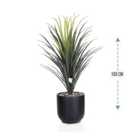 شجر صبار وسط مركن فيبر ارتفاع 100 سم : 1019-534