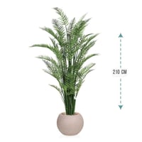 شجر نخل اريكا حوض بلاستيك 210 سم : 2720-528-3: